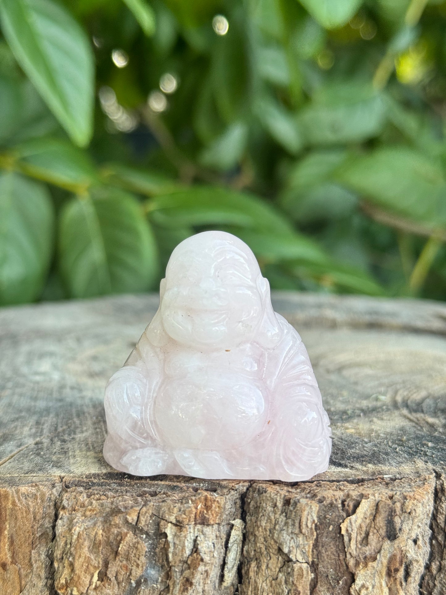 Buddha