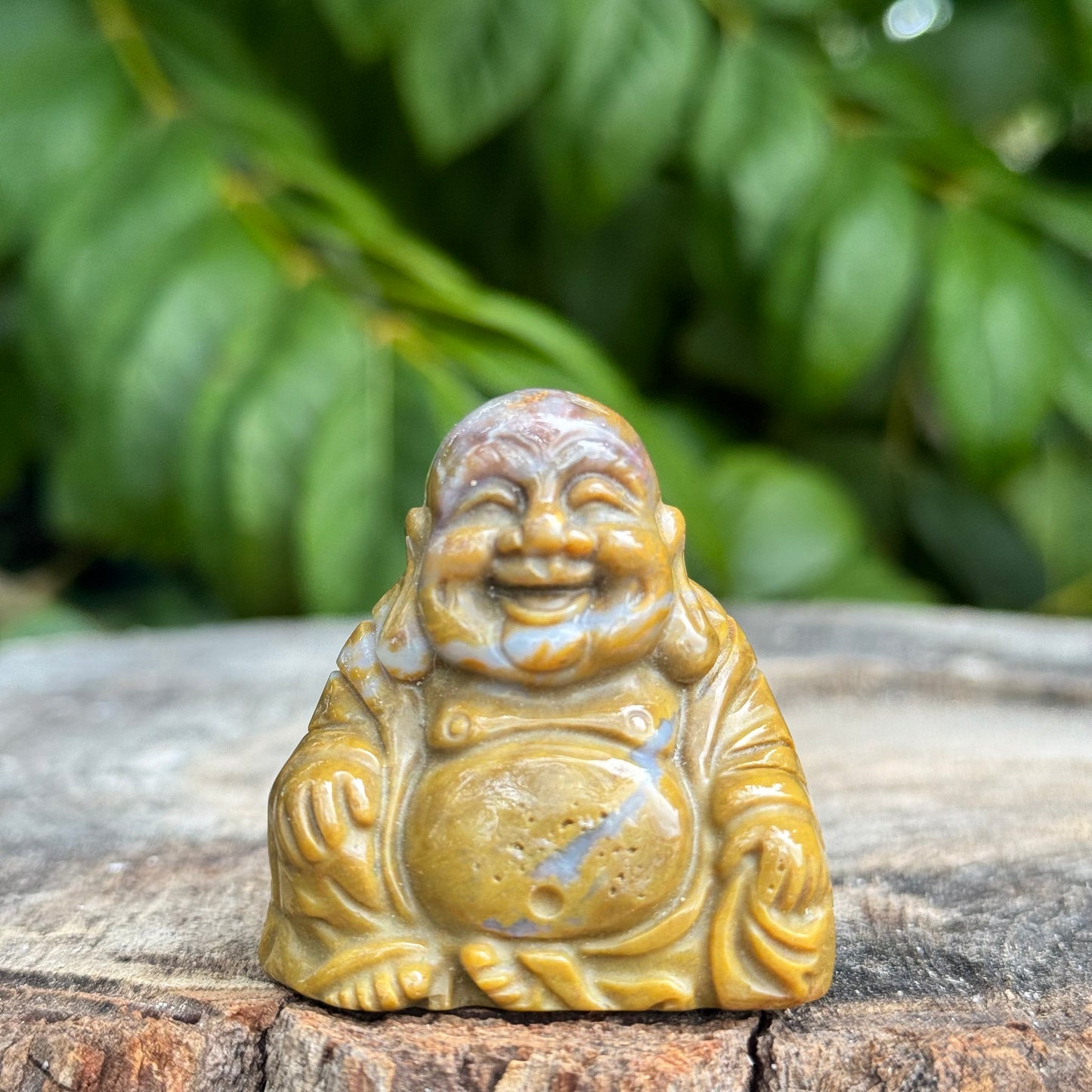 Buddha