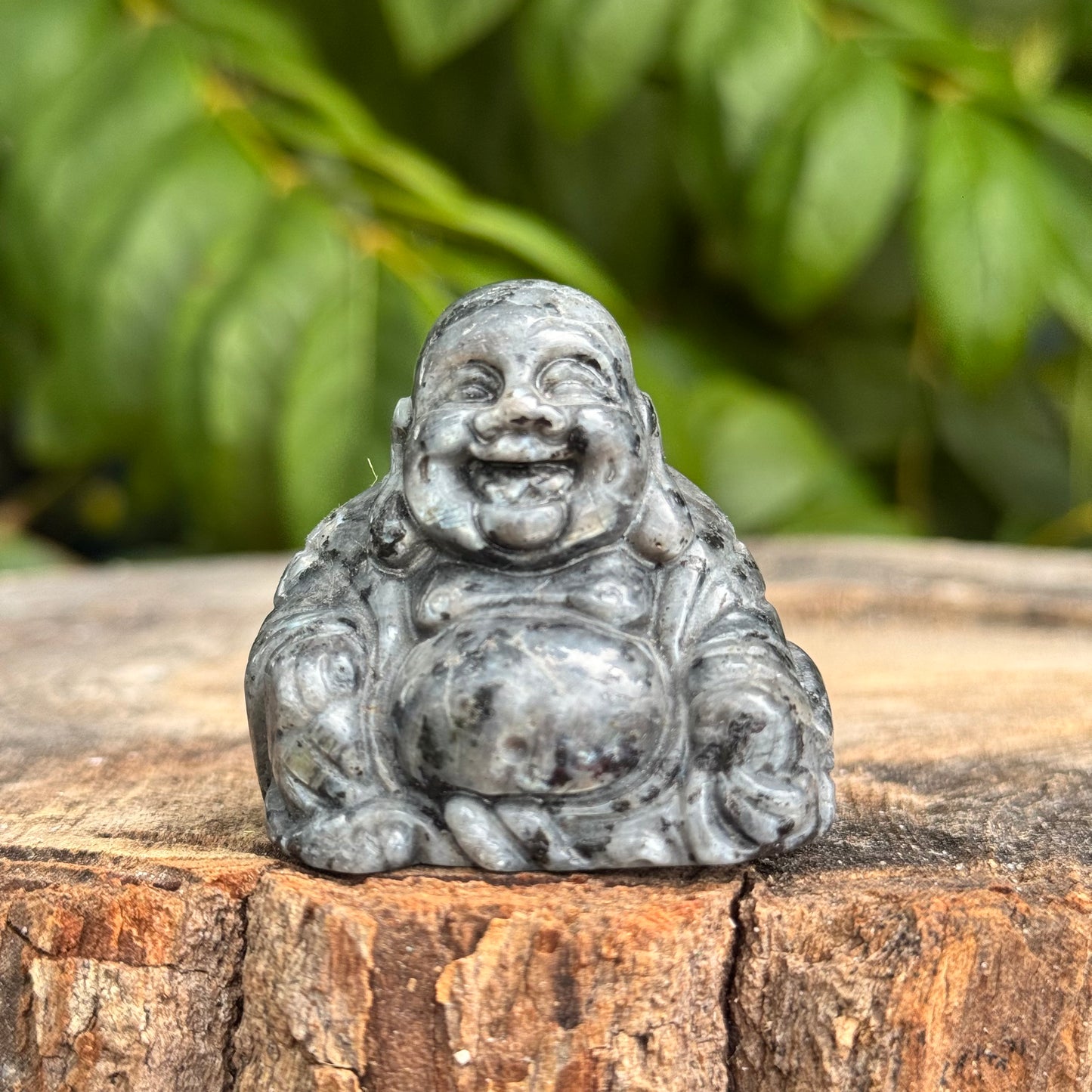 Buddha