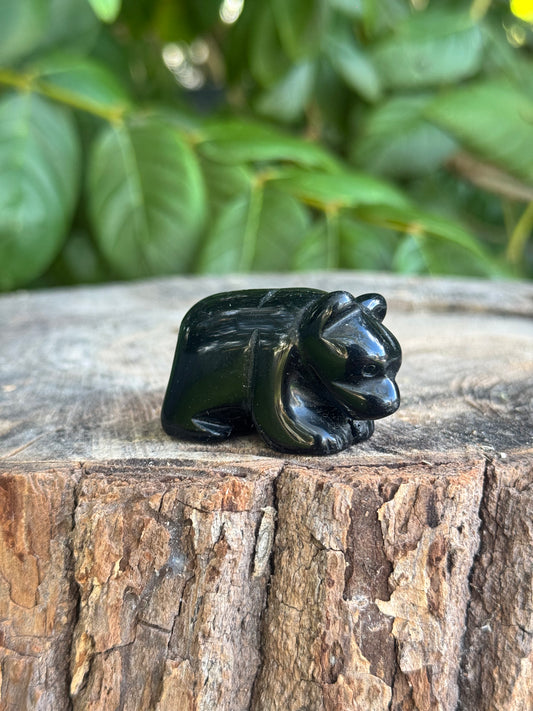 Bear