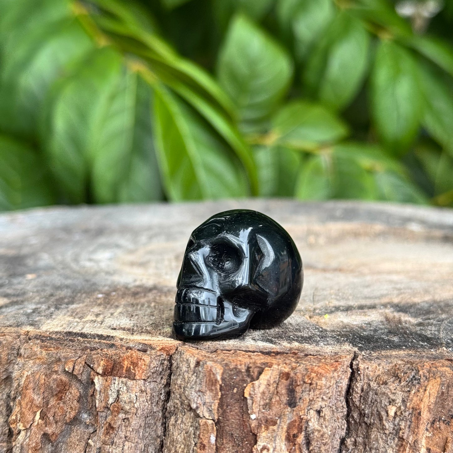 Skull Small