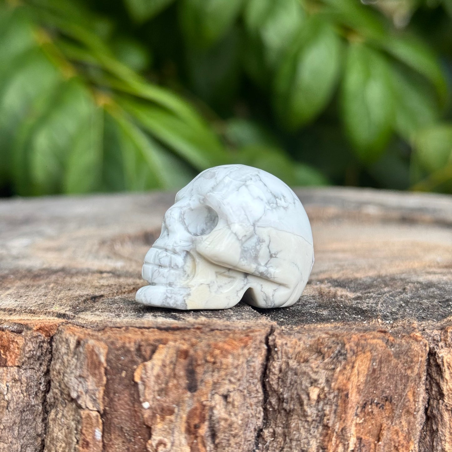 Skull Small