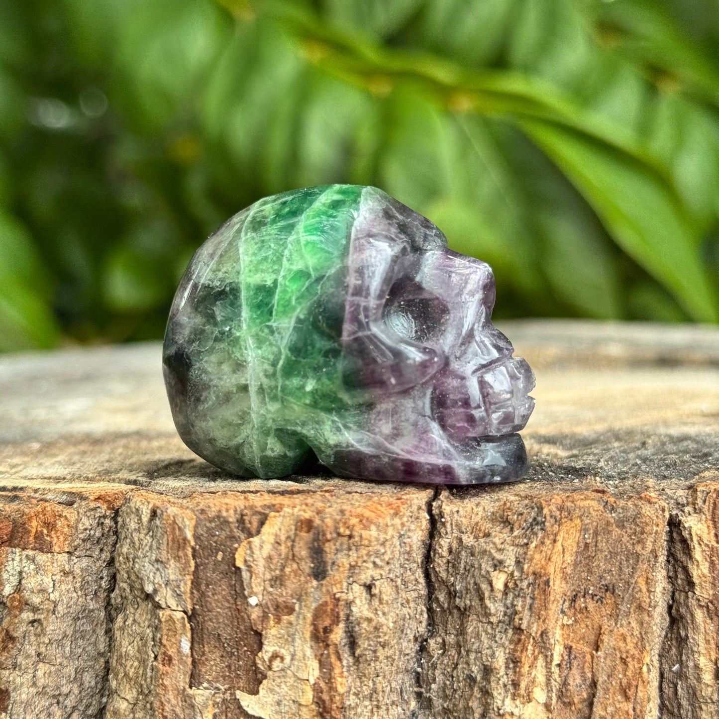 Skull Medium