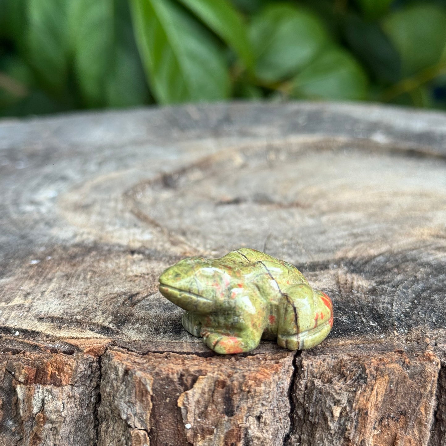 Frog