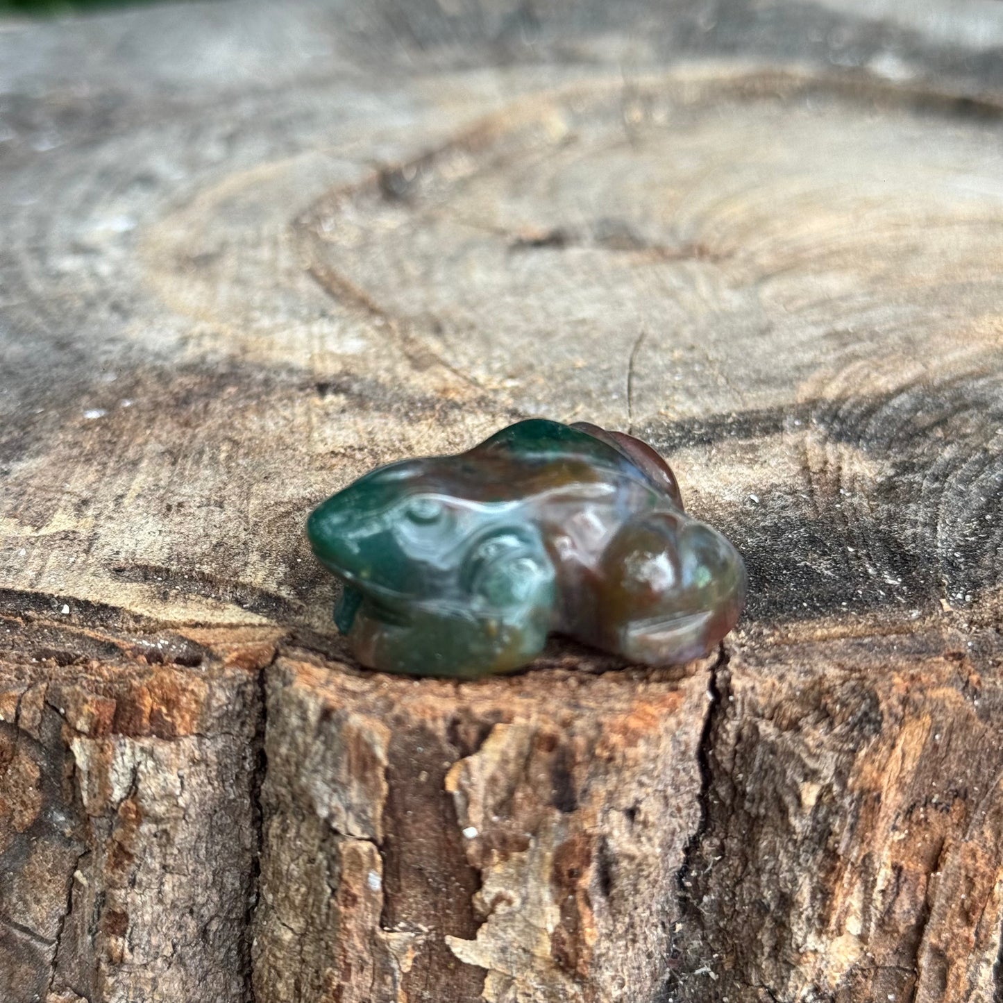 Frog
