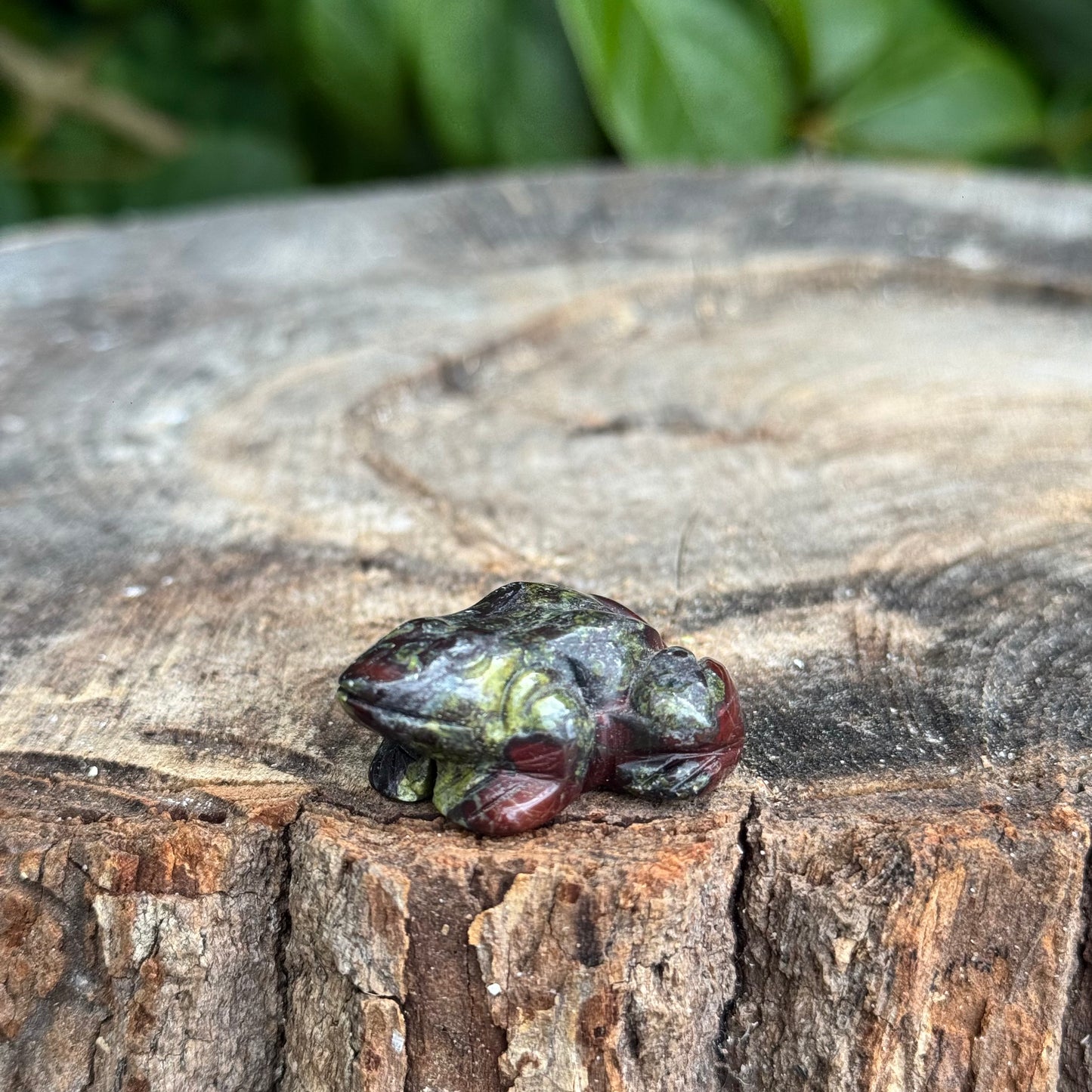 Frog